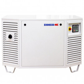 Купить Генератор газовый Endress ESE 808 GF (8080101) | 7/8 кВт (Германия)