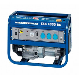 Купити Генератор Endress 4000 BS | 4/4,5 кВт (Німеччина)