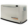 Генератор газовый Generac 7232 (220В) | 7/8 кВт (США)  