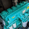 Генератор дизельний PROFI-TEC WDSG312-3 Power MAX | 250 кВт (Китай)  фото 7