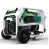 Генератор бензин - газ Genergy Natura 3000 | 2,7/3 (2,3/2,6) кВт (Испания)  
