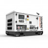 Генератор дизельный Genergy GDS14T | 10,4/11,2 кВт (Испания)  