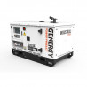 Генератор дизельный Genergy GDS14T | 10,4/11,2 кВт (Испания)  фото 1