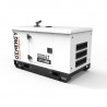 Генератор дизельный Genergy GDS14T | 10,4/11,2 кВт (Испания)  фото 2