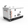Генератор дизельный Genergy GDS14T | 10,4/11,2 кВт (Испания)  фото 3