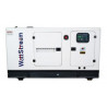 Генератор WattStream WS22-FS1 | 12/13 кВт (Великобританія)  
