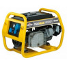 Генератор Briggs & Stratton Pro Max 6000A | 4,8/6 кВт (США)  