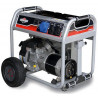 Генератор Briggs & Stratton GEN 14000  